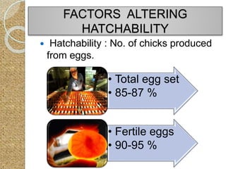 FACTORS ALTERING
HATCHABILITY
 Hatchability : No. of chicks produced
from eggs.
• Total egg set
• 85-87 %.
• Fertile eggs
• 90-95 %.
 