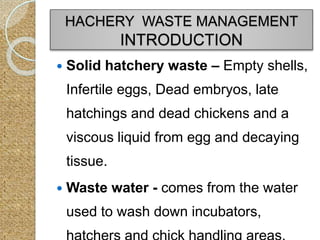  Solid hatchery waste – Empty shells,
Infertile eggs, Dead embryos, late
hatchings and dead chickens and a
viscous liquid from egg and decaying
tissue.
 Waste water - comes from the water
used to wash down incubators,
HACHERY WASTE MANAGEMENT
INTRODUCTION
 