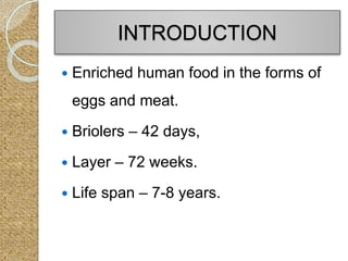 INTRODUCTION
 Enriched human food in the forms of
eggs and meat.
 Briolers – 42 days,
 Layer – 72 weeks.
 Life span – 7-8 years.
 