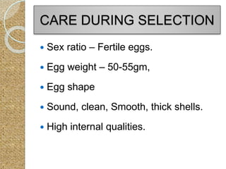 CARE DURING SELECTION
 Sex ratio – Fertile eggs.
 Egg weight – 50-55gm,
 Egg shape
 Sound, clean, Smooth, thick shells.
 High internal qualities.
 