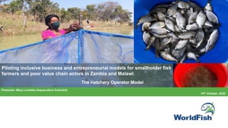 Piloting inclusive business and entrepreneurial models for smallholder fish
farmers and poor value chain actors in Zambia and Malawi
The Hatchery Operator Model
Presenter: Mary Lundeba (Aquaculture Scientist)
15th October, 2020
 