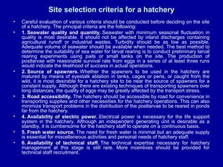 Site selection criteria for a hatchery
• Careful evaluation of various criteria should be conducted before deciding on the site
of a hatchery. The principal criteria are the following:
• 1. Seawater quality and quantity. Seawater with minimum seasonal fluctuation in
quality is most desirable. It should not be affected by inland discharges containing
agricultural runoff or industrial wastes. Turbidity should be as low as possible.
Adequate volume of seawater should be available when needed. The best method to
determine the suitability of sea water for larval rearing is to conduct preliminary larval
rearing experiments using pails or small tanks on the site. The production of
postlarvae with reasonable survival rate from eggs in a series of at least three runs
would indicate the likelihood of success in actual operations.
• 2. Source of spawners. Whether the spawners to be used in the hatchery are
matured by means of eyestalk ablation in tanks, cages or pens, or caught from the
wild, it is most desirable for a hatchery site to be near the source of spawners for a
constant supply. Although there are existing techniques of transporting spawners over
long distances, the quality of eggs may be greatly affected by the transport stress.
• 3. Road accessibility. The hatchery should be accessible by road for convenience in
transporting supplies and other necessities for the hatchery operations. This can also
minimize transport problems in the distribution of the postlarvae to be reared in ponds
far from the hatchery.
• 4. Availability of electric power. Electrical power is necessary for the life support
system in the hatchery. Although an independent generating unit is desirable as a
standby, it is cumbersome for the hatchery staff to operate on a continuous basis.
• 5. Fresh water source. The need for fresh water is minimal but an adequate supply
is essential for miscellaneous activities and personal needs of hatchery staff.
• 6. Availability of technical staff. The technical expertise necessary for hatchery
management at this stage is still rare. More incentives should be provided for
technical staff recruitment.
 