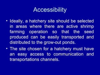 Accessibility
• Ideally, a hatchery site should be selected
in areas where there are active shrimp
farming operation so that the seed
produced can be easily transported and
distributed to the grow-out ponds.
• The site chosen for a hatchery must have
an easy access to communication and
transportations channels.
 