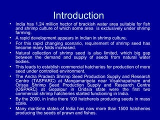 Introduction
• India has 1.24 million hector of brackish water area suitable for fish
and shrimp culture of which some area is exclusively under shrimp
farming.
• A rapid development appears in Indian in shrimp culture.
• For this rapid changing scenario, requirement of shrimp seed has
become many folds increased.
• Natural collection of shrimp seed is also limited, which big gap
between the demand and supply of seeds from natural water
bodies.
• This leads to establish commercial hatcheries for production of more
seed under controlled environment.
• The Andra Pradesh Shrimp Seed Production Supply and Research
Centre (TASPARC) at Mangamaripeta near Visakhapatnam and
Orissa Shrimp Seed Production Supply and Research Centre
(OSPARC) at Gopalpur in Oridsia state were the first two
commercial shrimp hatcheries started functioning in India.
• By the 2000, in India there 100 hatchereis producing seeds in mass
scale.
• Many maritime states of India has now more than 1500 hatcheries
producing the seeds of prawn and fishes.
 