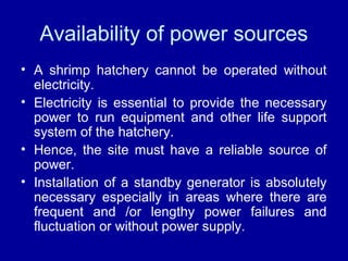 Availability of power sources
• A shrimp hatchery cannot be operated without
electricity.
• Electricity is essential to provide the necessary
power to run equipment and other life support
system of the hatchery.
• Hence, the site must have a reliable source of
power.
• Installation of a standby generator is absolutely
necessary especially in areas where there are
frequent and /or lengthy power failures and
fluctuation or without power supply.
 
