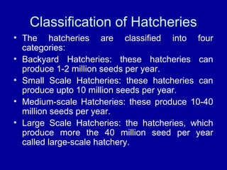 Classification of Hatcheries
• The hatcheries are classified into four
categories:
• Backyard Hatcheries: these hatcheries can
produce 1-2 million seeds per year.
• Small Scale Hatcheries: these hatcheries can
produce upto 10 million seeds per year.
• Medium-scale Hatcheries: these produce 10-40
million seeds per year.
• Large Scale Hatcheries: the hatcheries, which
produce more the 40 million seed per year
called large-scale hatchery.
 