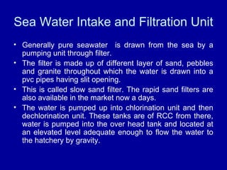 Sea Water Intake and Filtration Unit
• Generally pure seawater is drawn from the sea by a
pumping unit through filter.
• The filter is made up of different layer of sand, pebbles
and granite throughout which the water is drawn into a
pvc pipes having slit opening.
• This is called slow sand filter. The rapid sand filters are
also available in the market now a days.
• The water is pumped up into chlorination unit and then
dechlorination unit. These tanks are of RCC from there,
water is pumped into the over head tank and located at
an elevated level adequate enough to flow the water to
the hatchery by gravity.
 