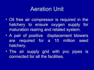 Aeration Unit
• Oil free air compressor is required in the
hatchery to ensure oxygen supply for
maturation rearing and related system.
• A pair of positive displacement blowers
are required for a 10 million seed
hatchery.
• The air supply grid with pvc pipes is
connected for all the facilities.
 