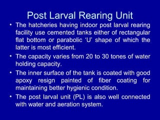 Post Larval Rearing Unit
• The hatcheries having indoor post larval rearing
facility use cemented tanks either of rectangular
flat bottom or parabolic ‘U’ shape of which the
latter is most efficient.
• The capacity varies from 20 to 30 tones of water
holding capacity.
• The inner surface of the tank is coated with good
apoxy resign painted of fiber coating for
maintaining better hygienic condition.
• The post larval unit (PL) is also well connected
with water and aeration system.
 