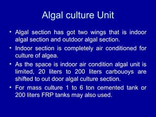 Algal culture Unit
• Algal section has got two wings that is indoor
algal section and outdoor algal section.
• Indoor section is completely air conditioned for
culture of algea.
• As the space is indoor air condition algal unit is
limited, 20 liters to 200 liters carbouoys are
shifted to out door algal culture section.
• For mass culture 1 to 6 ton cemented tank or
200 liters FRP tanks may also used.
 