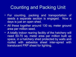 Counting and Packing Unit
• For counting, packing and transportation of
seeds a separate section is engaged. Now a
days is just an open shed.
• All these together around 130 sq. meter ground
area per million seed.
• A totally indoor rearing facility of the hatchery will
need 50-70 sq. meter area per million built up
space, in a hatchery shed protected by walls and
roofed with asbestos sheet inter-spred with
translucent FRP sheet for lighting.
 