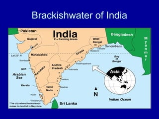 Brackishwater of India
 
