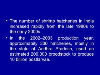• The number of shrimp hatcheries in India
increased rapidly from the late 1980s to
the early 2000s.
• In the 2002–2003 production year,
approximately 300 hatcheries, mostly in
the state of Andhra Pradesh, used an
estimated 200,000 broodstock to produce
10 billion postlarvae.
 