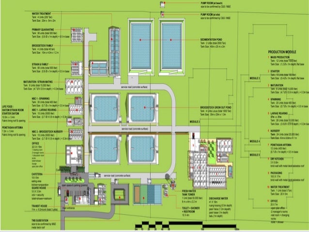 Aquaponics system layout Home hacks