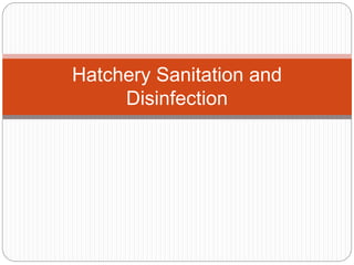 Hatchery Sanitation and
Disinfection
 
