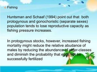  Fishing
Huntsman and Schaaf (1994) point out that both
protogynous and gonochoristic (separate sexes)
population tends to lose reproductive capacity as
fishing pressure increases.
In protogynous stocks, however, increased fishing
mortality might reduce the relative abudance of
males by reducing the abundance of older-classes
and diminish the probability that eggs will be
successfully fertilized
 
