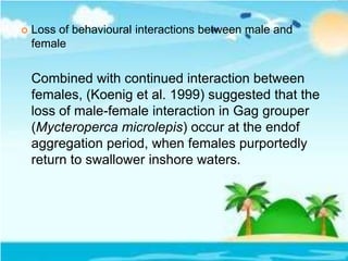  Loss of behavioural interactions between male and
female
Combined with continued interaction between
females, (Koenig et al. 1999) suggested that the
loss of male-female interaction in Gag grouper
(Mycteroperca microlepis) occur at the endof
aggregation period, when females purportedly
return to swallower inshore waters.
 