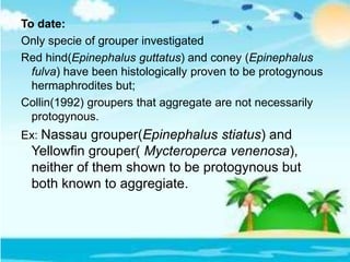 To date:
Only specie of grouper investigated
Red hind(Epinephalus guttatus) and coney (Epinephalus
fulva) have been histologically proven to be protogynous
hermaphrodites but;
Collin(1992) groupers that aggregate are not necessarily
protogynous.
Ex: Nassau grouper(Epinephalus stiatus) and
Yellowfin grouper( Mycteroperca venenosa),
neither of them shown to be protogynous but
both known to aggregiate.
 
