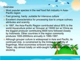 Overview
 Most popular species in the reef food fish industry in Asia-
Pacific region
 Fast growing, hardy ,suitable for intensive culture
 Excellent characteristics for processing due to unique culinary
attributes and scarcity
 In 1997, the Asia-Pacific Region contributed about 90% to the
world Aquaculture prdxn w/ Grouper at 15000 ton w/ China as
the biggest producer contributing 8000 tons followed closely
by Indonesia. Other countries in the region commonly
produces 1000-2000tons annually in 1990-1997.
 Although grouper culture is widespread in Asia and Pacific, its
continued dvlp. is constrained by the limited availability of
fingerlings. Most economies w/recent exception of Chinese
Taipei, rely almost totally on wild-caught fry and fingerlings for
stocking.
 