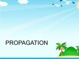 PROPAGATION
 