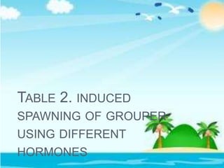 TABLE 2. INDUCED
SPAWNING OF GROUPER
USING DIFFERENT
HORMONES
 