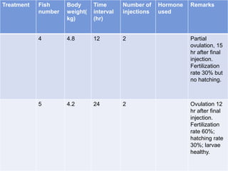 Treatment Fish
number
Body
weight(
kg)
Time
interval
(hr)
Number of
injections
Hormone
used
Remarks
4 4.8 12 2 Partial
ovulation, 15
hr after final
injection.
Fertilization
rate 30% but
no hatching.
5 4.2 24 2 Ovulation 12
hr after final
injection.
Fertilization
rate 60%;
hatching rate
30%; larvae
healthy.
 