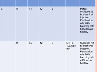 C 8 4.1 12 3 Partial
ovulation,15
hr after final
injection.
Fertilization
rate 40%;
hatching rate
50%; larvae
healthy.
9 4.5 12 3 LRH-a
10u/kg of
fish
Ovulation 12
hr after final
injection.
Fertilization
rate 80%;
hatching rate
40%;larvae
healthy.
 