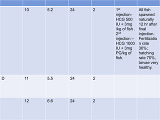 10 5.2 24 2 1st
injection-
HCG 500
IU + 3mg
/kg of fish .
2nd
injection –
HCG 1000
IU + 3mg
PG/kg of
fish.
All fish
spawned
naturally
12 hr after
final
injection.
Fertilizatio
n rate
30%;
hatching
rate 70%,
larvae very
healthy.
D 11 5.5 24 2
12 6.6 24 2
 