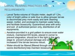 LARVAL REARING PRACTICES AND
REQUIREMENTS
 Larval Tanks-volume of 10cubic meter, depth of 1.2m,
color of bright yellow or pale blue to allow grouper larvae
to discriminate prey more easily and tank cleaning
easier, roofed, and enclosed to maintain water temp.,
and facilitate biosecurity. Quarantined area with entry
and exit of authorized person only, disinfection of all
equipments.
 Aeration-provided in a grid pattern to ensure even water
mixture, maintained DO levels, placed in corner to
prevent stagnation, should be in the light in the early
stage to prevent physical damage and could be
increased if the larvae become robust.
 Water-should be filtered [filtered through ultraviolet or
ozone disinfection],help maintain biosecurity.
 