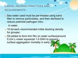 LARVAL REARING PRACTICES AND
REQUIREMENTS
 Sea water used must be per-treated using sand
filter to remove particulates, and then sterilized to
reduce potential pathogen intro.
in water.
 10 larvae/L-recommended initial stocking density
for grouper.
 Oil-added to form thin film on water surface(around
0.2/m L-meter square)at 1-5 DAH to prevent
surface aggregation mortality in early stage.
 