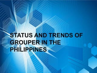 STATUS AND TRENDS OF
GROUPER IN THE
PHILIPPINES
 