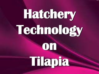Hatchery
Technology
on
Tilapia

 