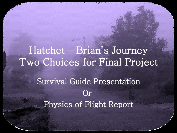 Hatchet Brian’S Journey