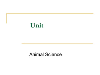 Comprehensive Guide to Hatching and Brooding Chicks in Animal Science | PPT