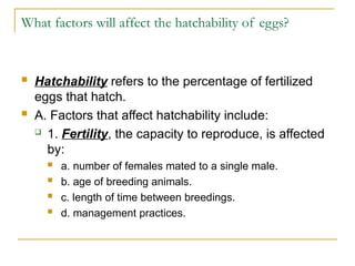 Comprehensive Guide to Hatching and Brooding Chicks in Animal Science | PPT