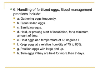 Comprehensive Guide to Hatching and Brooding Chicks in Animal Science | PPT