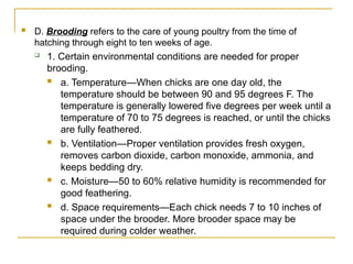 Comprehensive Guide to Hatching and Brooding Chicks in Animal Science | PPT