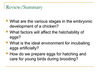 Comprehensive Guide to Hatching and Brooding Chicks in Animal Science | PPT