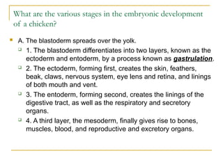Comprehensive Guide to Hatching and Brooding Chicks in Animal Science | PPT