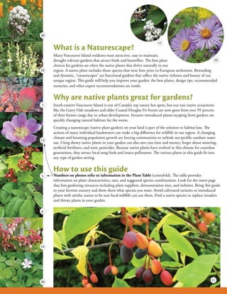 30

                                                                           17
     What is a Naturescape?
     Many Vancouver Island residents want attractive, easy to maintain,
     drought tolerant gardens that attract birds and butterflies. The best plant                           25
     choices for gardens are often the native plants that thrive naturally in our
35   region. A native plant includes those species that were here prior to European settlement. Rewarding
     and dynamic, “naturescapes” are functional gardens that reflect the native richness and beauty of our
     unique region. This guide will help you improve your garden: the best plants, design tips, recommended
     nurseries, and other expert recommendations are inside.


     Why are native plants great for gardens?
7    South-eastern Vancouver Island is one of Canada’s top nature hot spots, but our rare native ecosystems
     like the Garry Oak meadows and older Coastal Douglas Fir forests are now gone from over 95 percent
     of their former range due to urban development. Invasive introduced plants escaping from gardens are
     quickly changing natural habitats for the worse.
     Creating a naturescape (native plant garden) on your land is part of the solution to habitat loss. The
     actions of many individual landowners can make a big difference for wildlife in our region. A changing
     climate and booming population growth are forcing communities to rethink our prolific outdoor water
13
     use. Using showy native plants in your garden can also save you time and money; forget about watering,
     artificial fertilizers, and toxic pesticides. Because native plants have evolved in this climate for countless
     generations, they attract local song birds and insect pollinators. The various plants in this guide fit into
     any type of garden setting.


     How to use this guide
5    Numbers on photos refer to information in the Plant Table (centrefold). The table provides
     information on plant characteristics, uses, and suggested species combinations. Look for the insert page
     that lists gardening resources including plant suppliers, demonstration sites, and websites. Bring this guide
     to your favorite nursery and show them what species you want. Avoid cultivated varieties or introduced
     plants with similar names to be sure local wildlife can use them. Find a native species to replace invaders
     and thirsty plants in your garden.

6




24




39                                                                                                             11
 