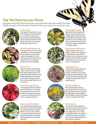 Top Ten Naturescape Plants
Just getting started? HAT’s Top Ten plant picks are beautiful, hardy, and readily available. Start small:
Establish your garden with these plants during the fall rains to get a jump on the summer dry season.

                           Oceanspray                                                               Tall Oregon Grape
                           This beautiful shrub thrives in poor                                     Blue edible berries, big yellow
                           soils, drought, and salt spray. Plant                                    blooms, and shiny leaves in one
                           it on a dry slope to prevent ero-                                        drought tolerant perennial! Plant
                           sion and attract seed eating birds.                                      several behind low shrubs, around
                           Lorquin’s admiral loves the creamy                                       foundations, and in thickets. Spiny
                           flower tufts that become orange-                                         leaves, creeping rhizomes and up-
                   14      brown seed heads in winter.                                   19         right habit creates a people barrier
                                                                                                    or evergreen hedge.

                           Broad-leaved Stonecrop                                                   Rocky Mountain Juniper
                           A low groundcover for hot & sunny                                        Tough evergreen shrub or tree
                           rock gardens, containers & garden                                        replaces a thirsty cedar hedge and
                           borders. Edible, succulent leaves                                        can be planted on top of berms.
                           range from sage green to red. A                                          Excellent year-round privacy screen,
                           hardy perennial, this plant’s showy                                      food and cover for birds. Long-lived
                           yellow flowers are a magnet for                                          and aromatic, native junipers also
                   33      pollinators and hummingbirds.                                     8      come in creeping forms.


                           Sword Fern                                                               Nodding Onion
                           Attractive copper colored fiddle-                                        A drift of this long-lasting lily lures
                           heads in spring unfurl into tough,                                       pollinators and butterflies for
                           waist-high evergreen fronds. This                                        months. Handles salt spray, wind,
                           hardy perennial complements finer                                        drought & poor, gravelly soils. Best
                           foliage of groundcovers in partial                                       for dry open woods, exposed sandy
                           sun to shade. Other good native                                          meadows & rock gardens where it
                   23      fern choices include Deer Fern and                                26     spreads quickly.
                           Licorice Fern.

                           Red Flowering Currant                                                    Woolly Sunflower
                           Hummingbirds feed from brilliant                                         Bees and butterflies will party
                           pink to red blooms in the spring,                                        around showy drifts of intense yel-
                           and other birds enjoy currants in                                        low that lasts all summer. Perennial
                           the fall. A showy specimen plant                                         with light green, velvety foliage en-
                           or massed in the back border, this                                       joys dry shallow soils and looks great
                           shrub is a gardeners favorite.                                           in banks, rockeries, and borders.
                   12                                                                    32

                           False Lily of the Valley                                                 Kinnikinnick
                           Low, shade loving groundcover fea-                                       An early blooming, trailing ever-
                           tures small white perfumed flowers                                       green ground cover with red berries
                           and creeping rhizomes. Greenish                                          in winter for birds. Best for pave-
                           berries turn red in winter. Drifts                                       ment edges & dry, sunny slopes.
                           of shiny spade shaped leaves look                                        Creeping branches cover walls and
                           great with strawberry, sword fern                                        tolerate foot traffic. A caterpillar
                   40      and bleeding heart. Grows under                               29         host and hummingbird feeder, this
                           cedar too.                                                               plant dresses up any site.

        Habitat Acquisition Trust            •   Creating Conservation Legacies          •       250.995.2428       •   www.hat.bc.ca
 