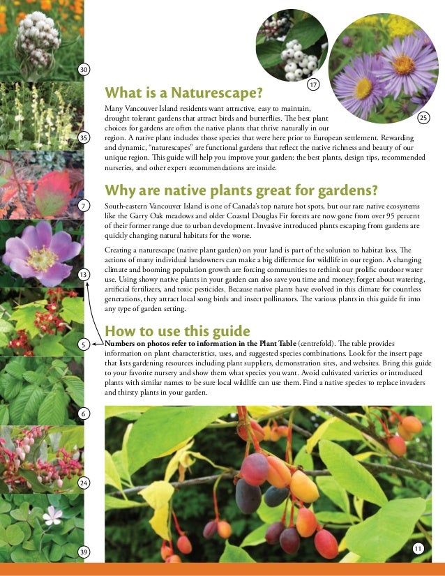 Gardening with Native Plants Victoria, British Columbia