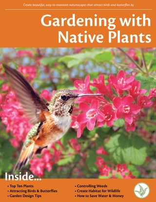 Create beautiful, easy-to-maintain naturescapes that attract birds and butterflies by




                       Gardening with
                         Native Plants




Inside...
• Top Ten Plants                                 • Controlling Weeds
• Attracting Birds & Butterflies                 • Create Habitat for Wildlife
• Garden Design Tips                             • How to Save Water & Money
                                                 316-620 View St. | Victoria, B.C. | 250.995.2428 | www.hat.bc.ca | Volume 9 Issue 2
 