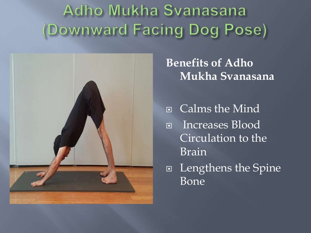 Hatha Yoga Poses, Asana and Their Benefits