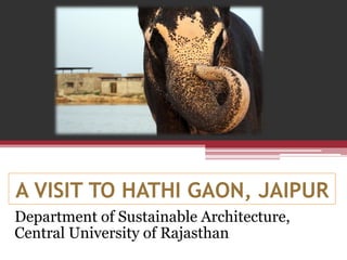 A VISIT TO HATHI GAON, JAIPUR
Department of Sustainable Architecture,
Central University of Rajasthan
 
