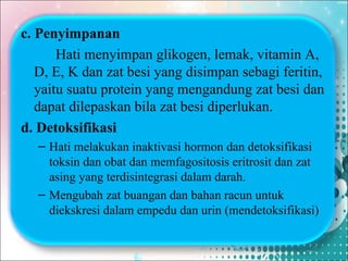 c. Penyimpanan
Hati menyimpan glikogen, lemak, vitamin A,
D, E, K dan zat besi yang disimpan sebagi feritin,
yaitu suatu protein yang mengandung zat besi dan
dapat dilepaskan bila zat besi diperlukan.
d. Detoksifikasi
– Hati melakukan inaktivasi hormon dan detoksifikasi
toksin dan obat dan memfagositosis eritrosit dan zat
asing yang terdisintegrasi dalam darah.
– Mengubah zat buangan dan bahan racun untuk
diekskresi dalam empedu dan urin (mendetoksifikasi)

 