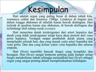 Kesimpulan

Hati adalah organ yang paling besar di dalam tubuh kita,
warnanya coklat dan beratnya 1500gr. Letaknya di bagian atas
dalam rongga abdomen di sebelah kanan bawah diafragma. Hati
terletak di quadran kanan atas abdomen, di bawah diafragma dan
terlindungi oleh tulang rusuk (costae).
Hati menerima darah teroksigenasi dari arteri hepatica dan
darah yang tidak teroksigenasi tetapi kaya akan protein dari vena
porta hepatica. Terdapat empat pembuluh darah utama yang
menjelajahi seluruh hati, dua yang masuk yaitu arteri hepatika dan
vena porta. Dan dua yang keluar yakni vena hepatika dan saluran
empedu.
Hati (liver) memiliki banyak fungsi yang kompleks dan
beragam. Hati (liver) sangat berperan penting pada hampir setiap
fungsi metabolisme tubuh sehingga menjadikan hati (liver) sebagai
organ yang sangat penting dalam mempertahankan kehidupan.

 