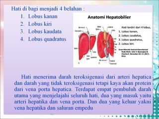 Hati