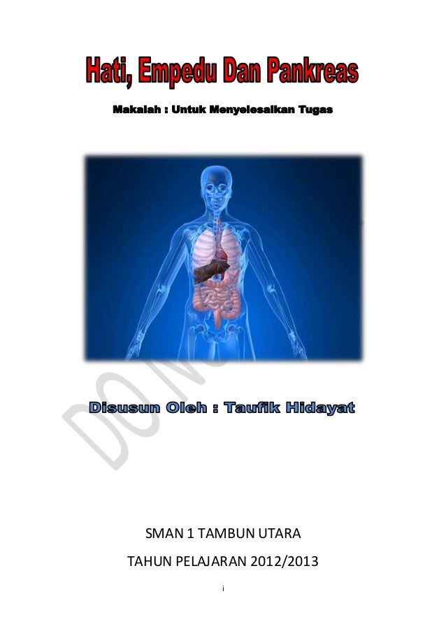 Unduh 6700 Koleksi Gambar Hati Usus Halus Dan Pankreas Paling Bagus HD