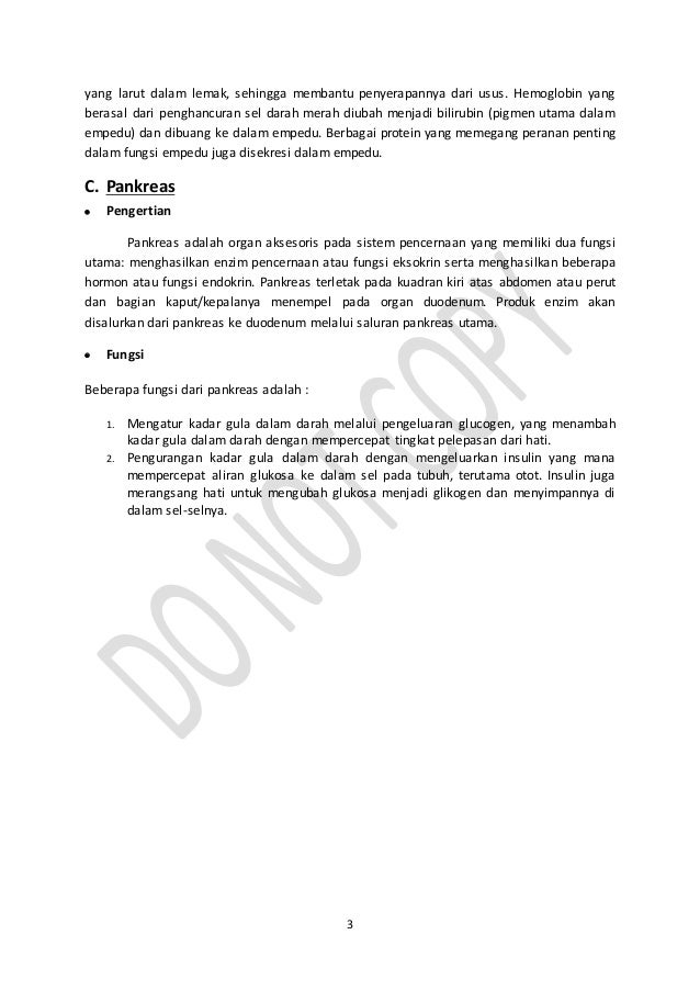 Hati, empedu dan pankreas